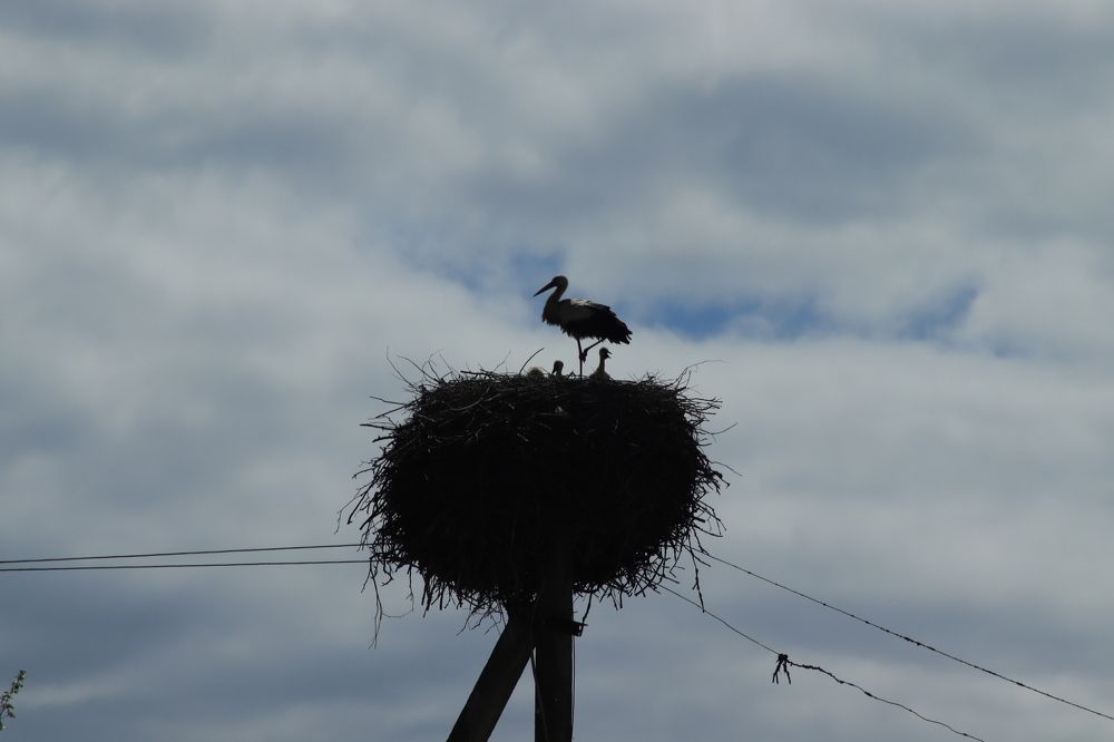 Photograph by Иван Скрипкин