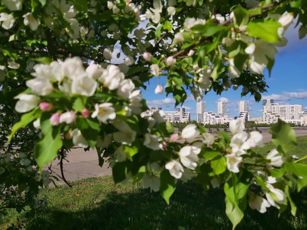 Весна в душе