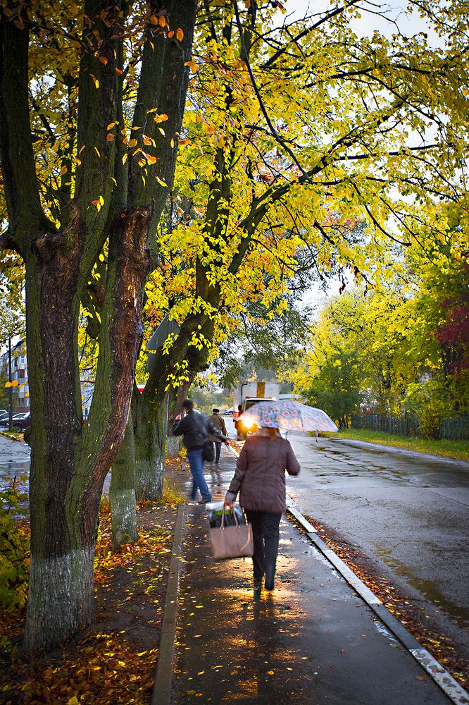 Photograph by Борис Назаров