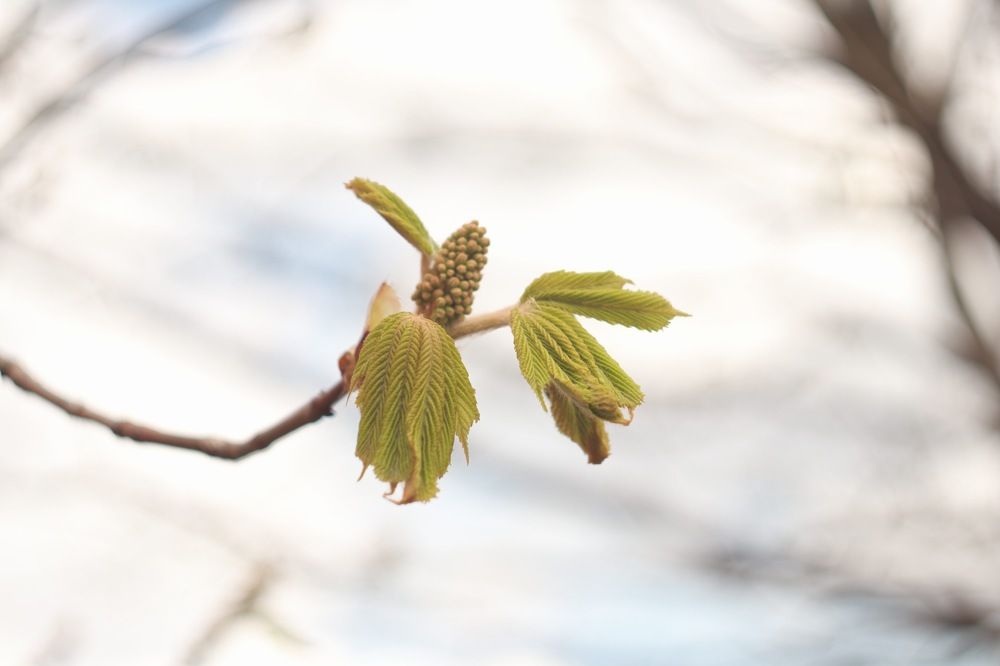 Фотография автора Марина Самусева