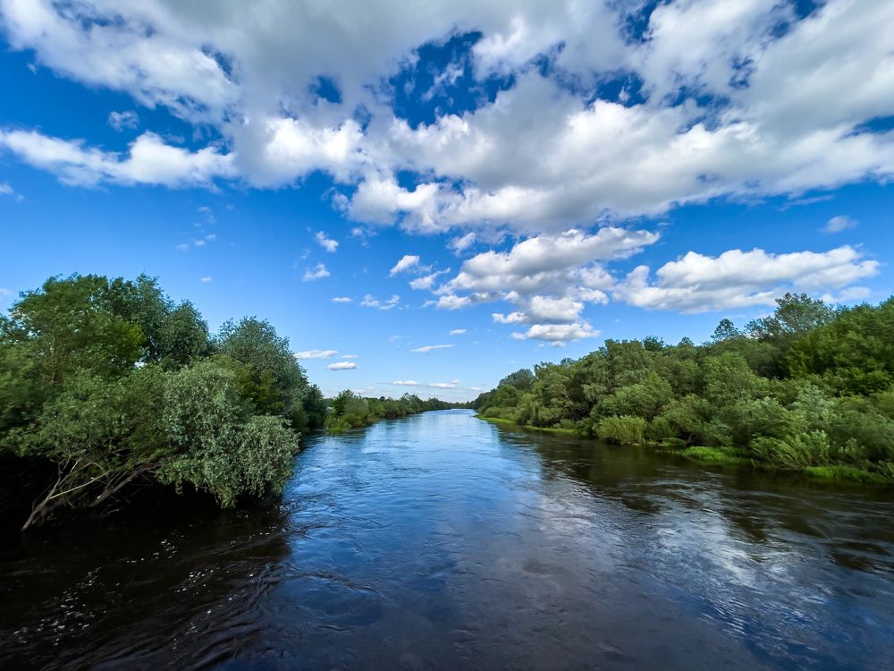 Фотография автора Вадим Бороненков