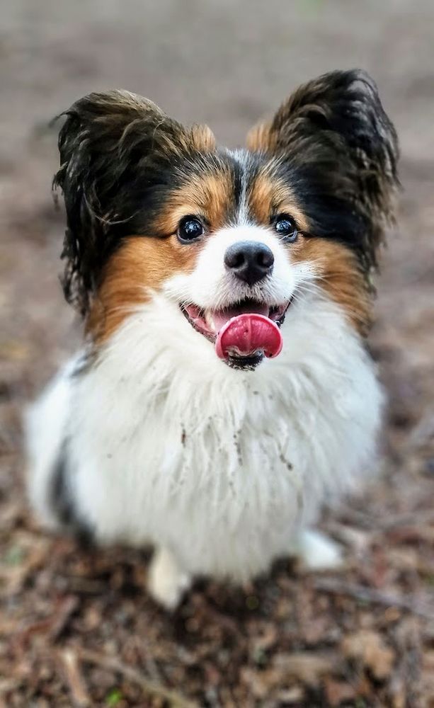 Photograph by Epp Tappel