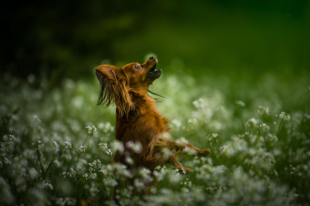 Photograph by Agnieszka Wieczorek