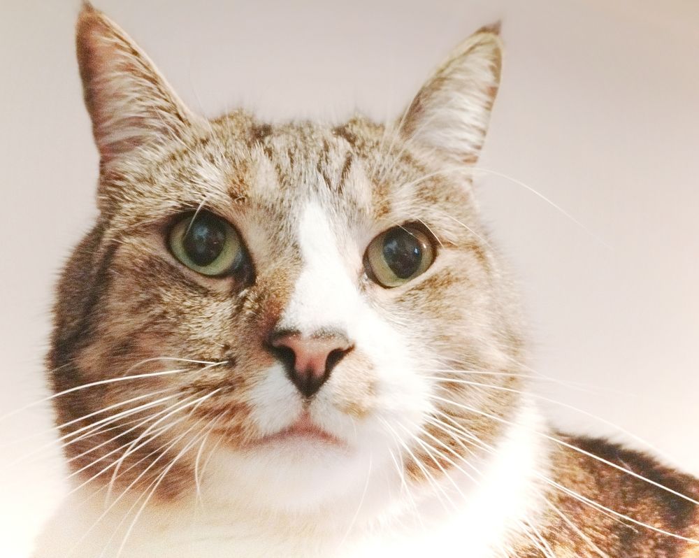 Photograph by Kirsteen Isles