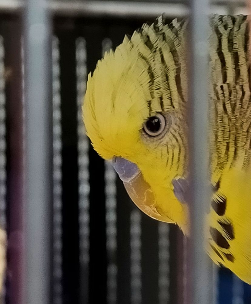 Photograph by Kirsteen Isles