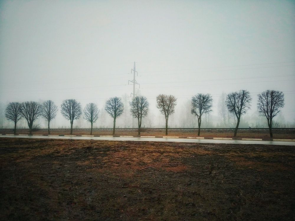 Photograph by Инна Подзорова