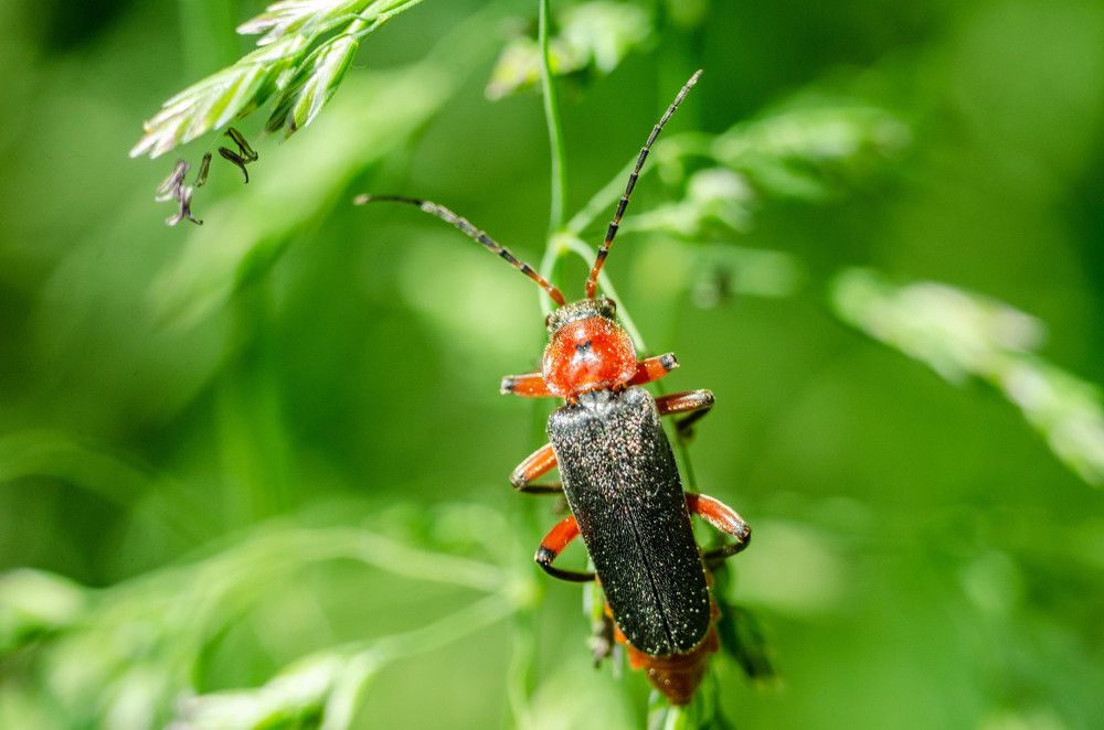 Photograph by Александр Леонов