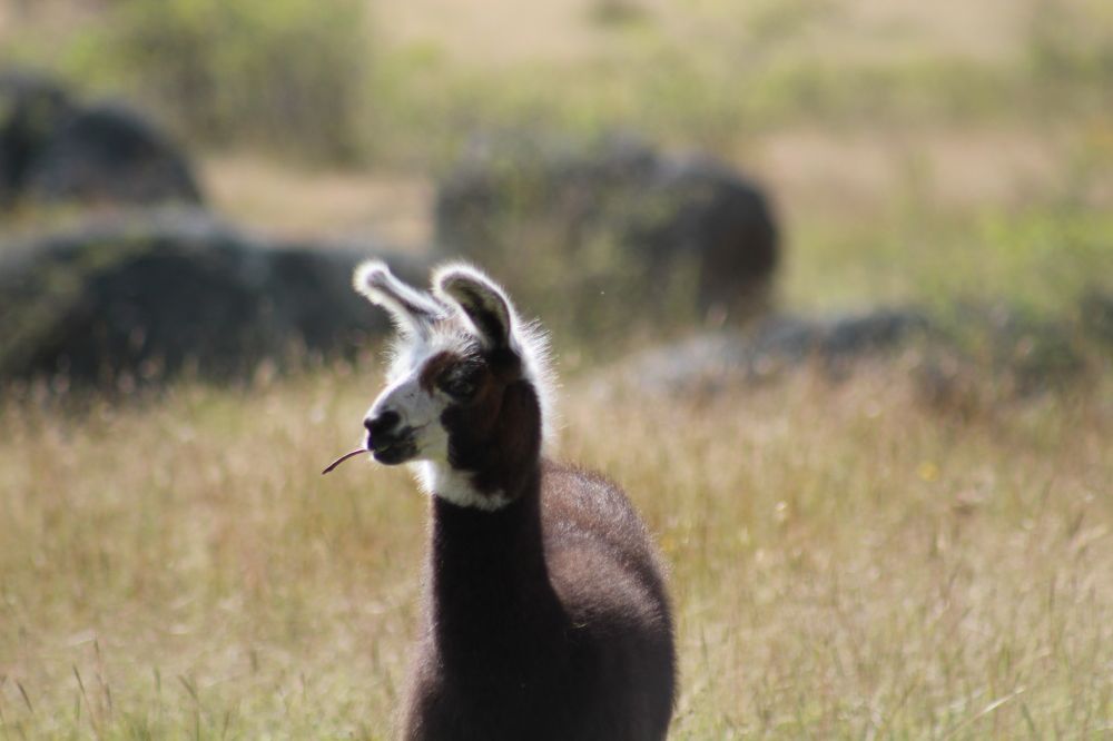 Photograph by Kirsteen Isles