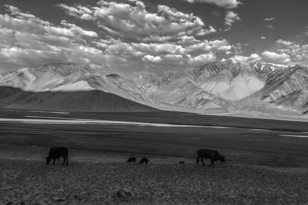 Photograph by Mukesh Tripathi