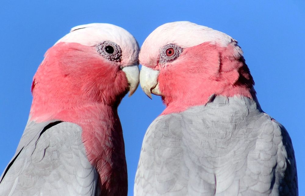 Photograph by Kirsteen Isles