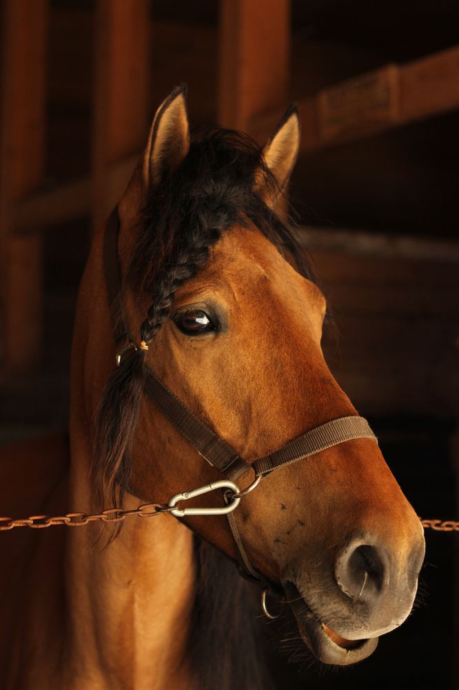 Photograph by Алеся Маклакова