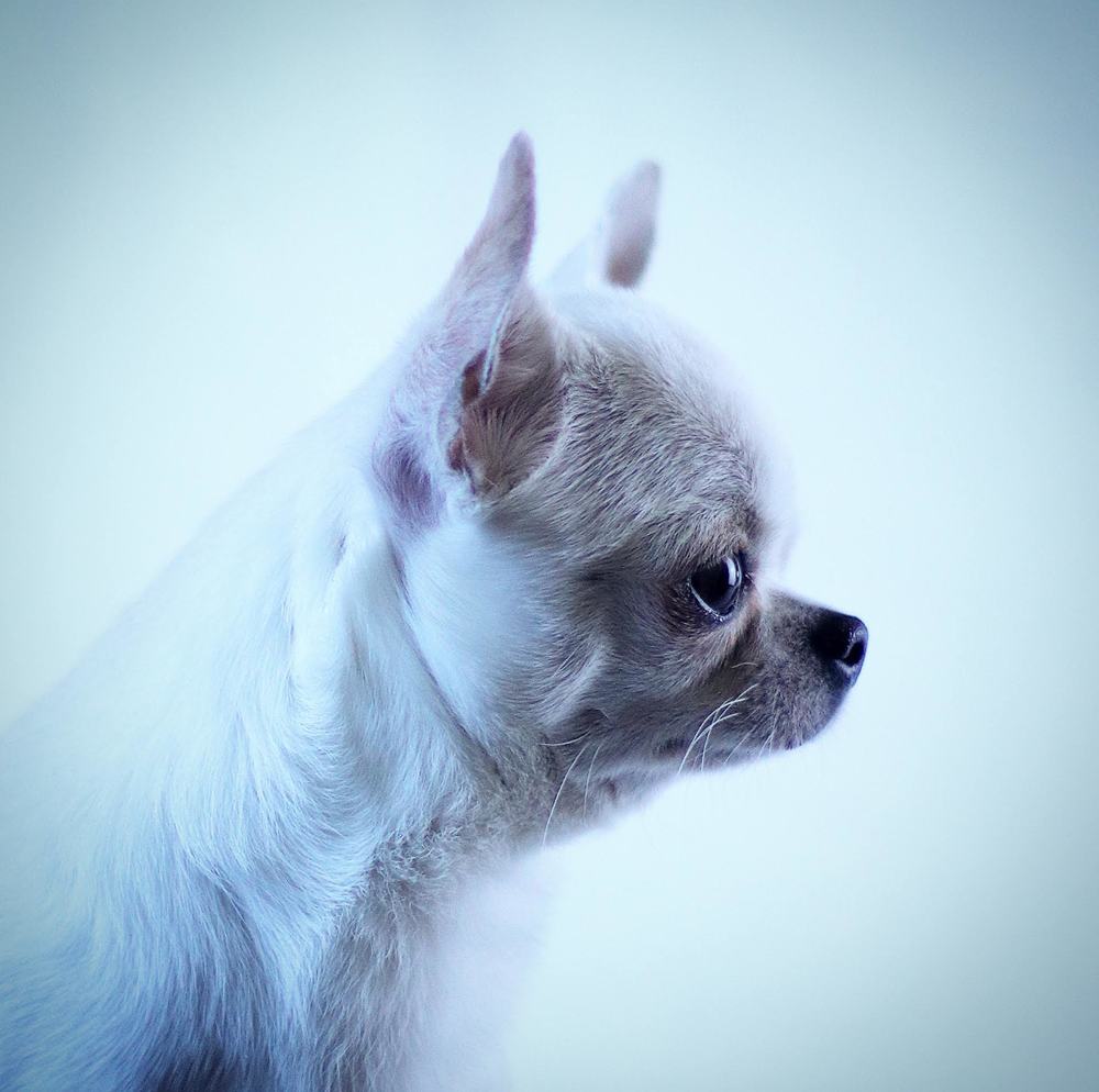 Фотография автора Irina