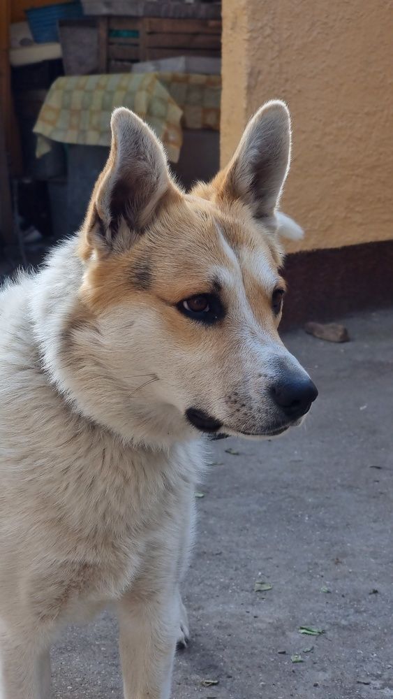 Photograph by Ирина Кравченко