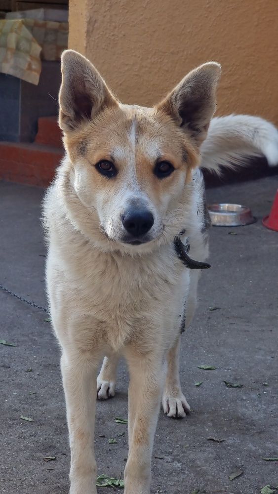 Photograph by Ирина Кравченко