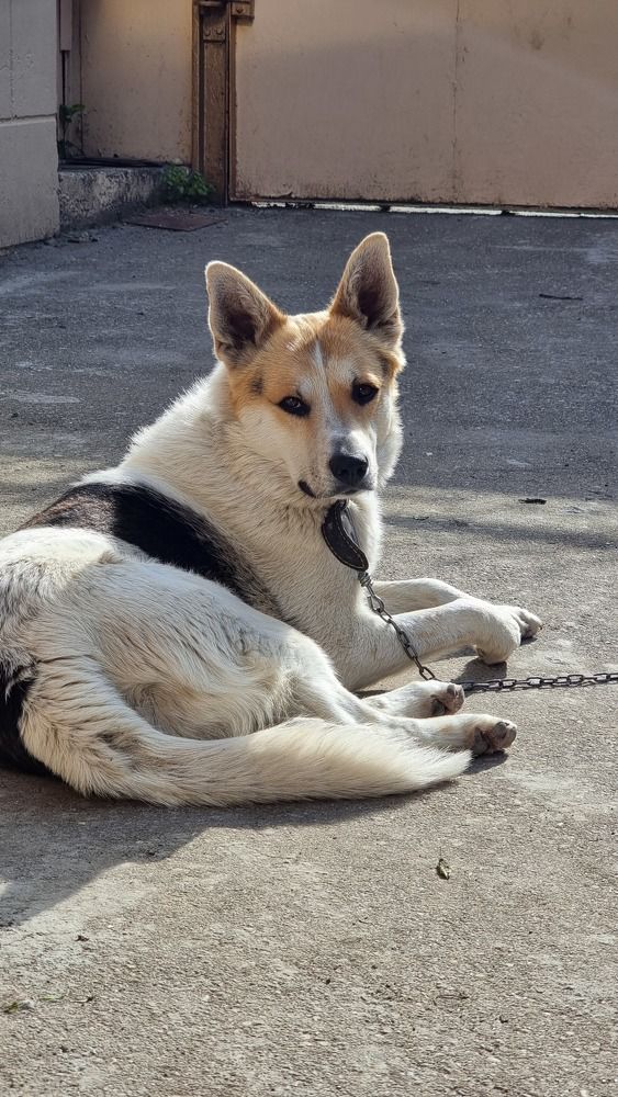 Photograph by Ирина Кравченко