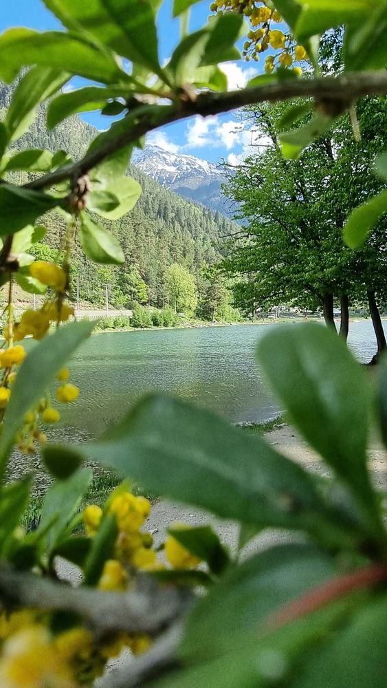 Photograph by Ирина Кравченко