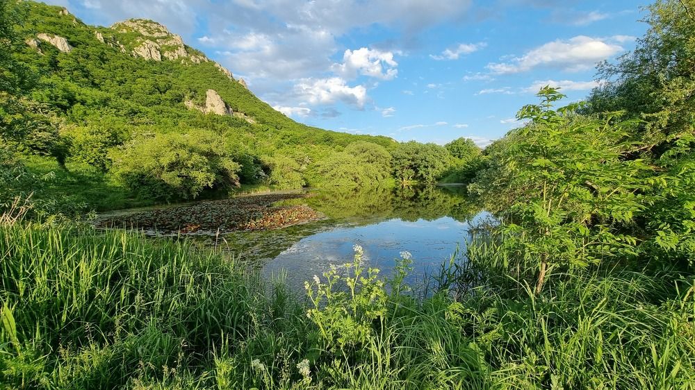 Photograph by Ирина Кравченко