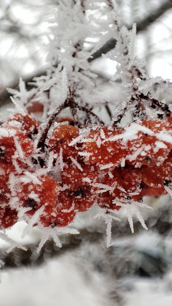 Photograph by Анастасия Власова