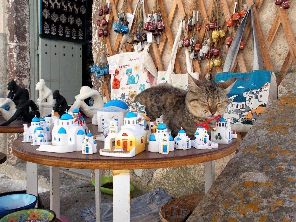 Photograph by José Luis Mendoza Machado