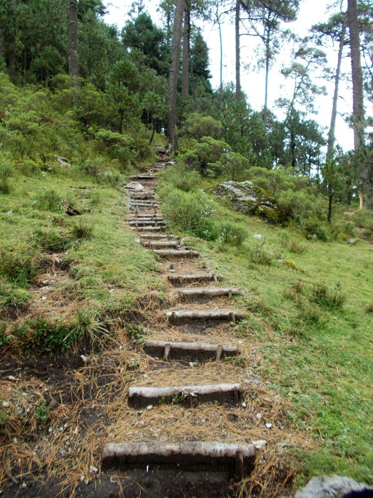 Photograph by José Luis Mendoza Machado