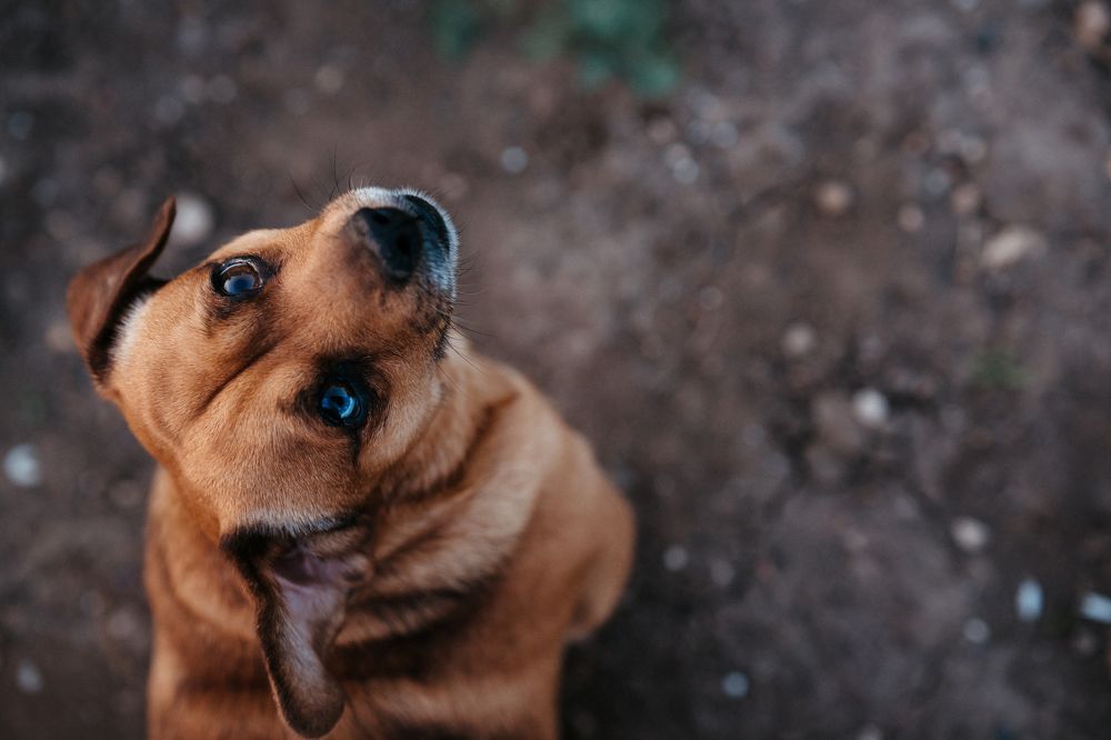 Photograph by Максим Гринченко