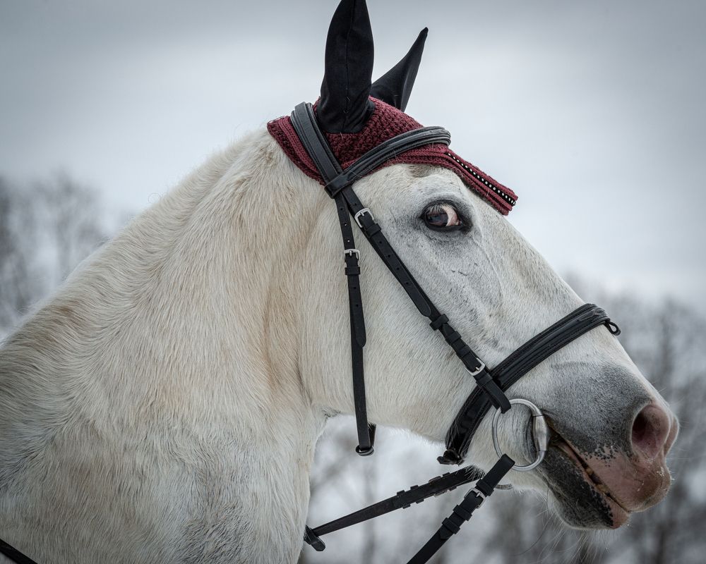 Фотография автора NIKOLAY KALININ