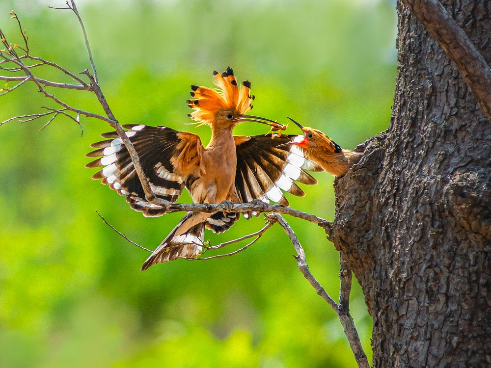 Photograph by Phyo Moe