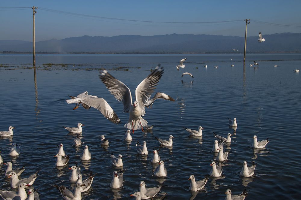 Photograph by Phyo Moe