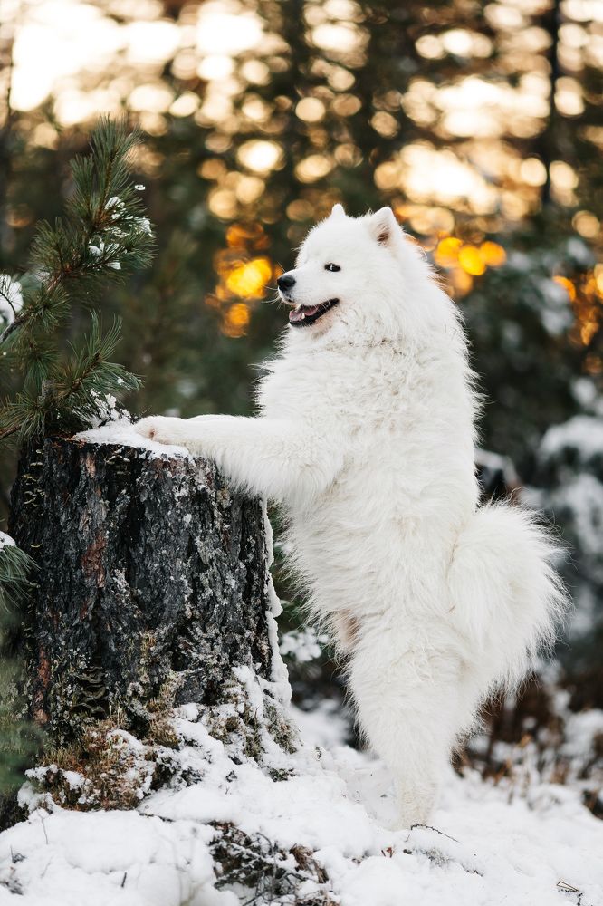 Photograph by Александр Петунин