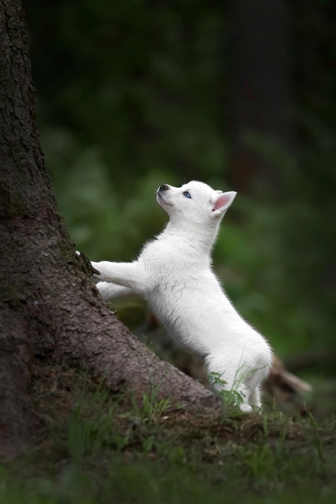 Photograph by Анна