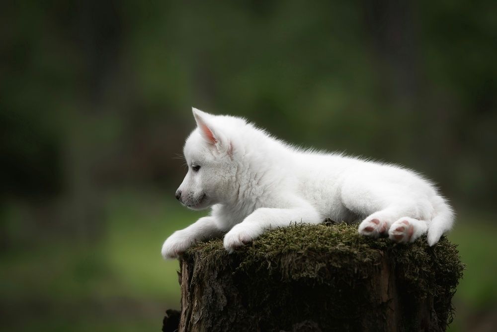 Photograph by Анна