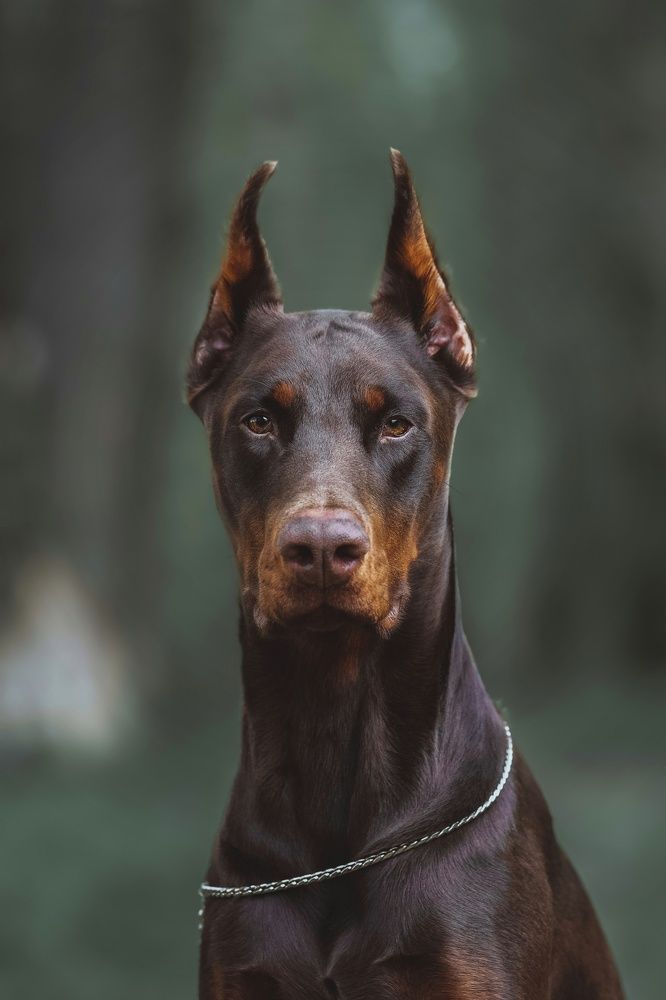 Photograph by Анна