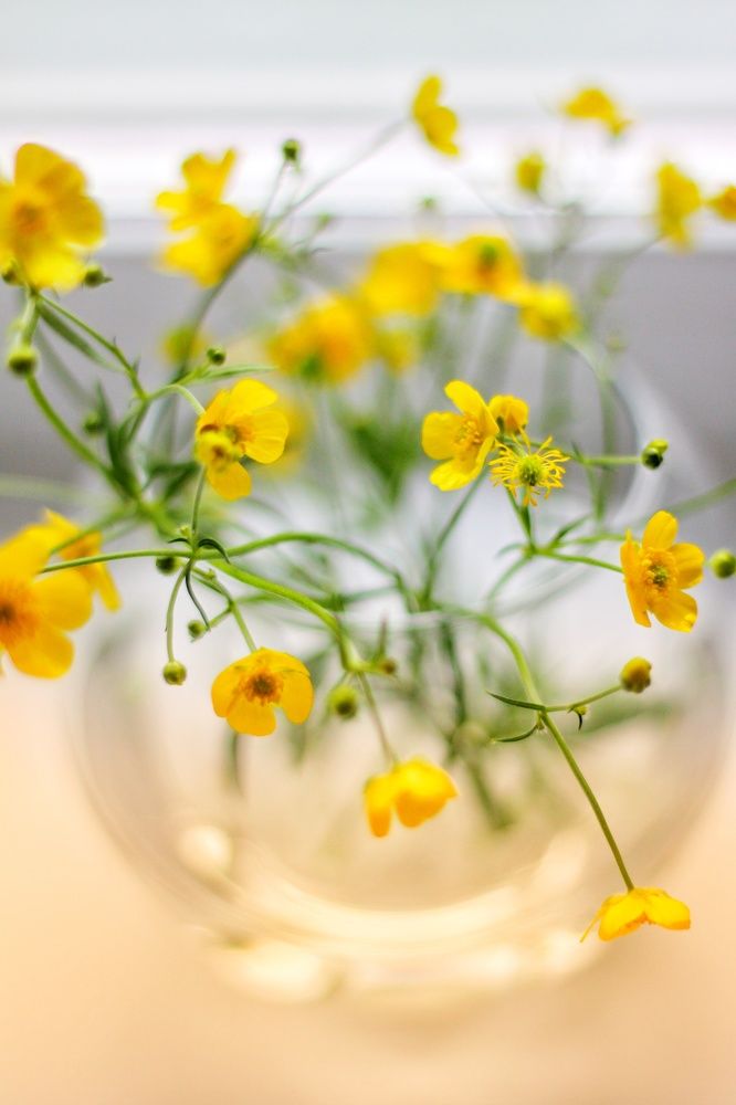 Photograph by Жанна Цветкова