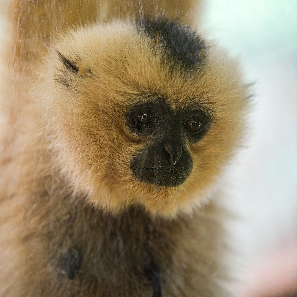 Photograph by Lyubelskiy Photography