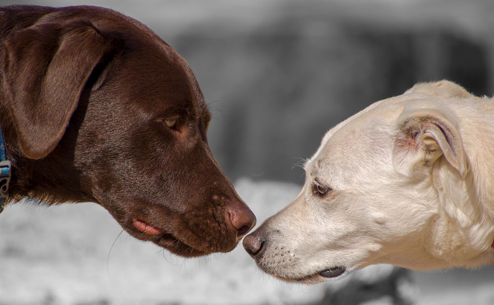 Photograph by Lyubelskiy Photography