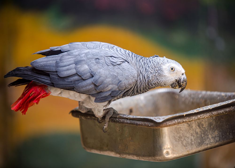 Photograph by Lyubelskiy Photography