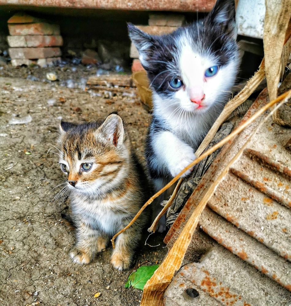 Photograph by Елена Артёменко