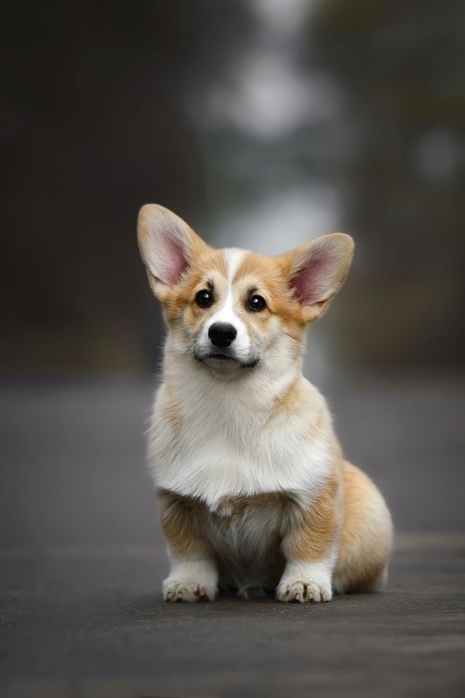 Photograph by Анна