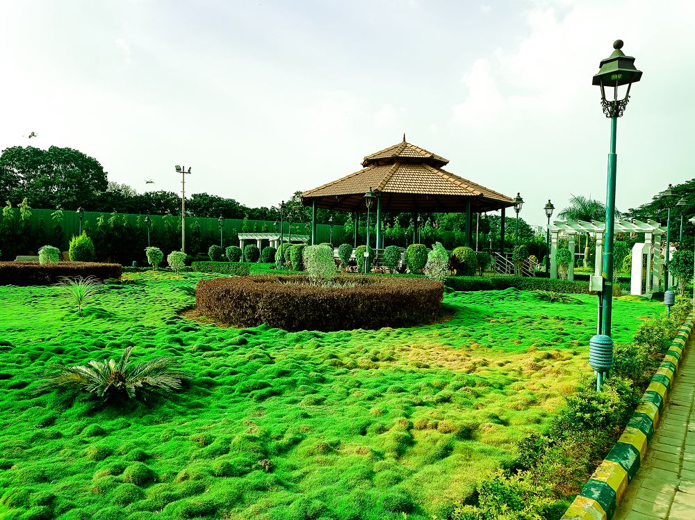 Photograph by VISHRANTH V