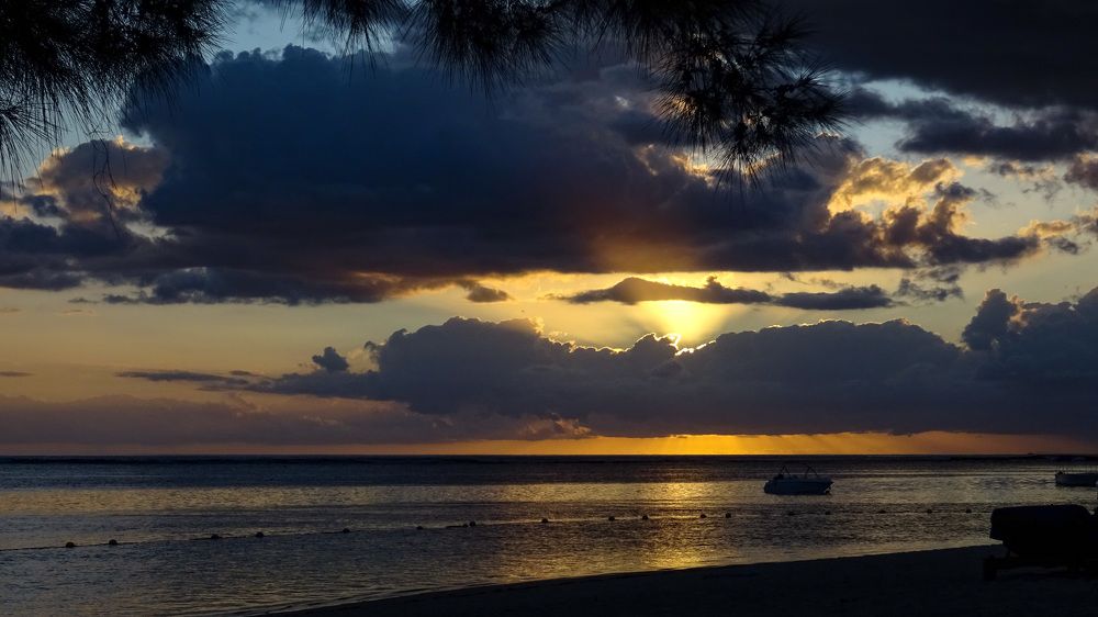 Photograph by Christine ECHEVET-ADAM de VILLIERS