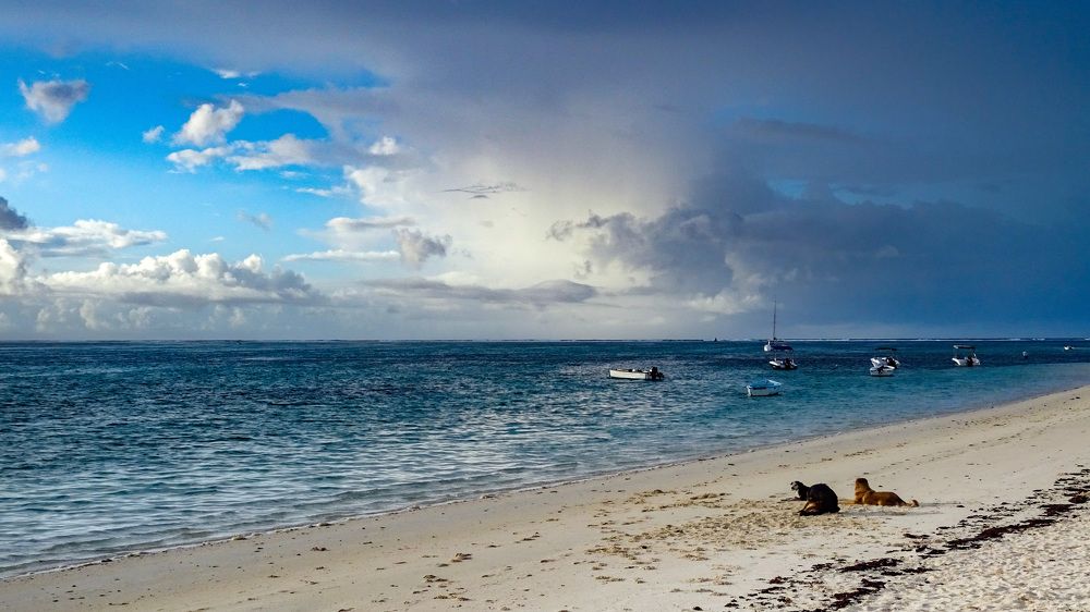 Photograph by Christine ECHEVET-ADAM de VILLIERS