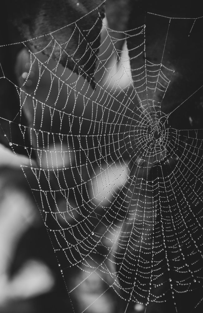 Фотография автора Tonmoy Maity