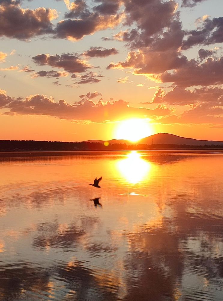 Photograph by Юлия Гинтер