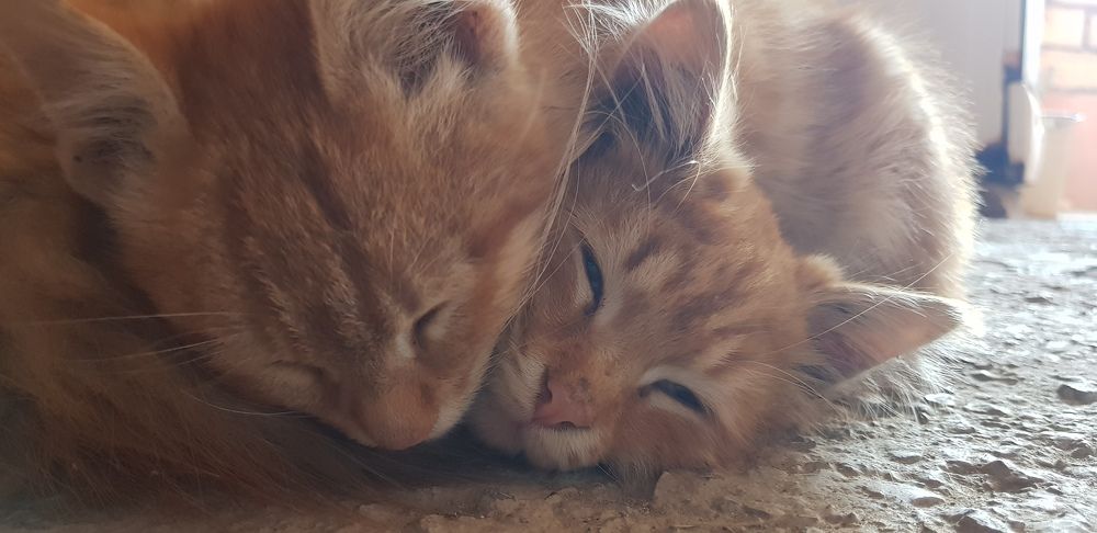 Photograph by Махир Ахмадов