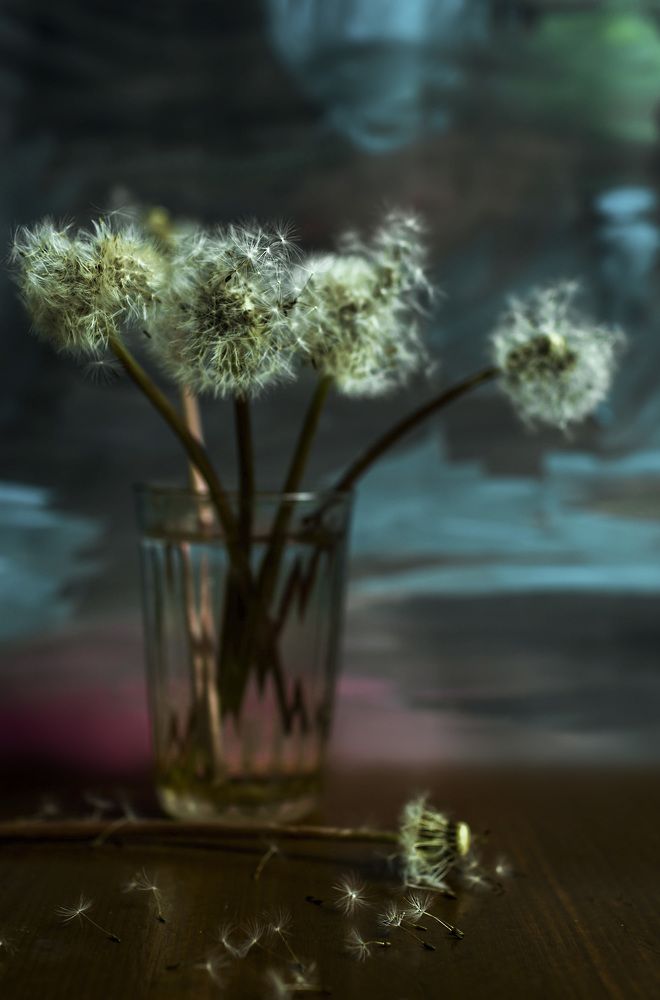 Photograph by Ксения Бочкова