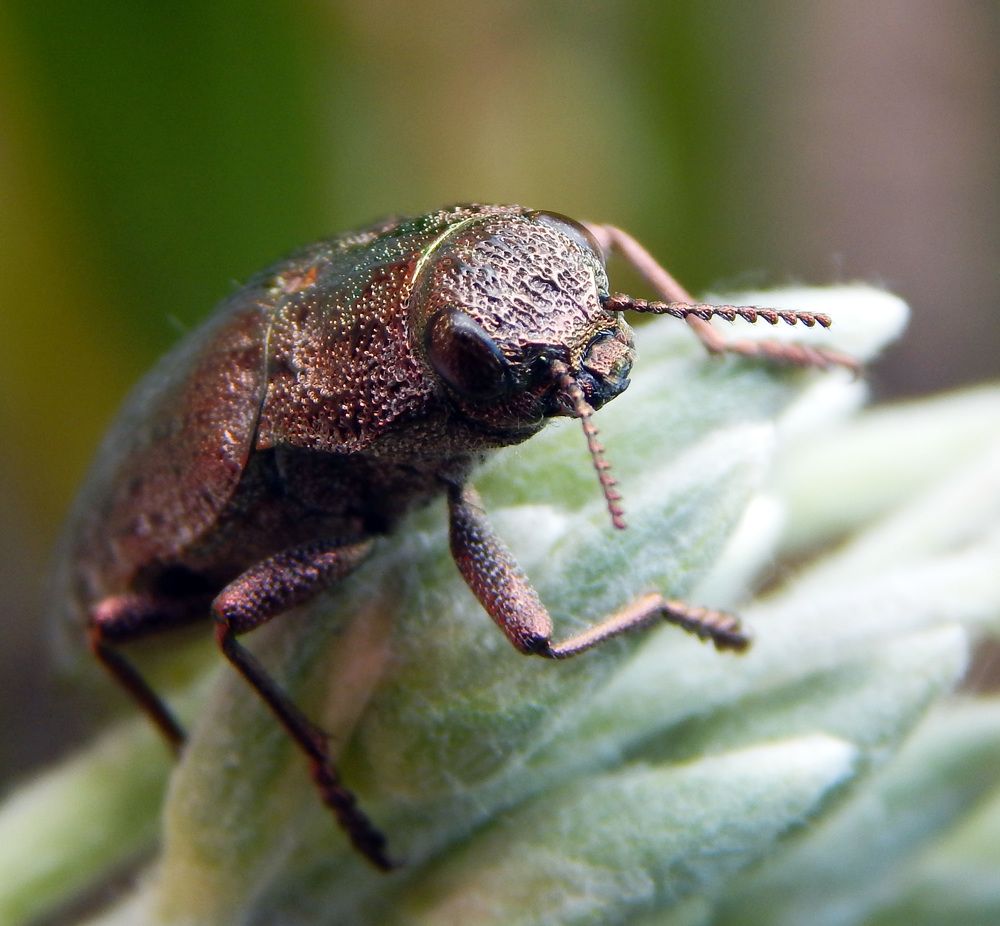 Photograph by Наталья Соколова