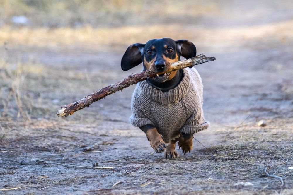 Photograph by Дмитрий Тимин