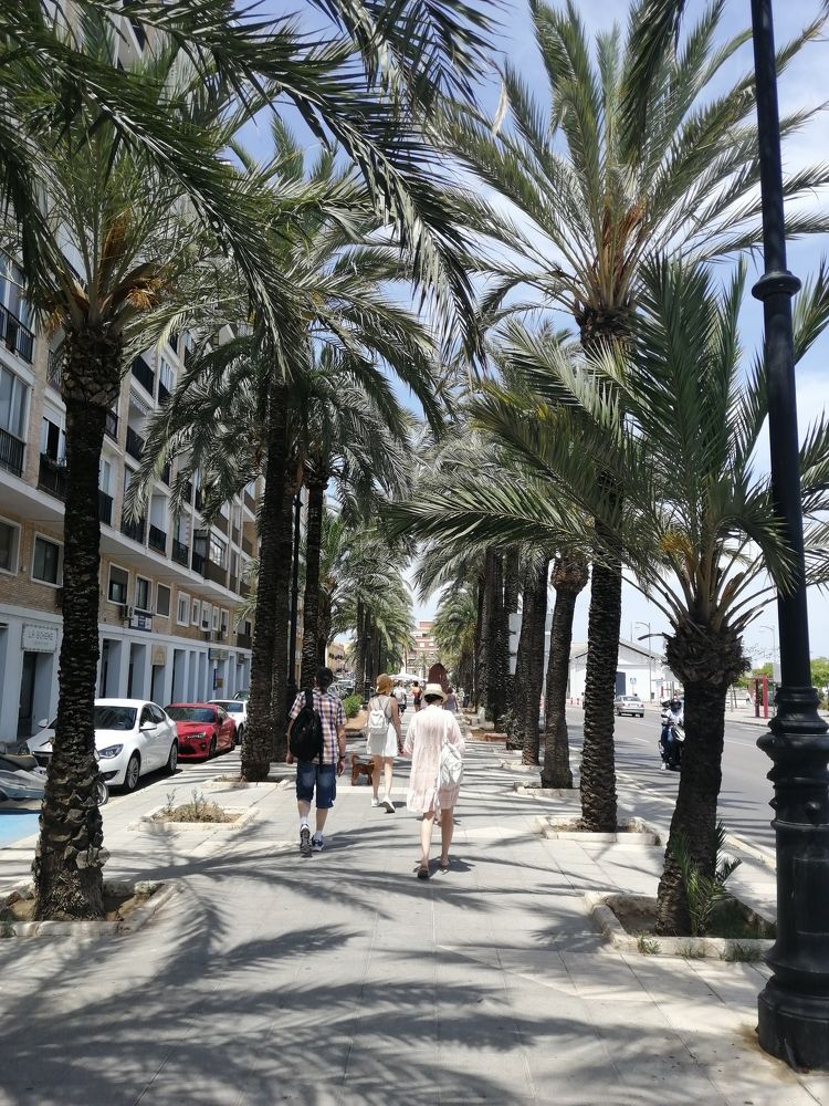 Фотография автора Алла Роденко