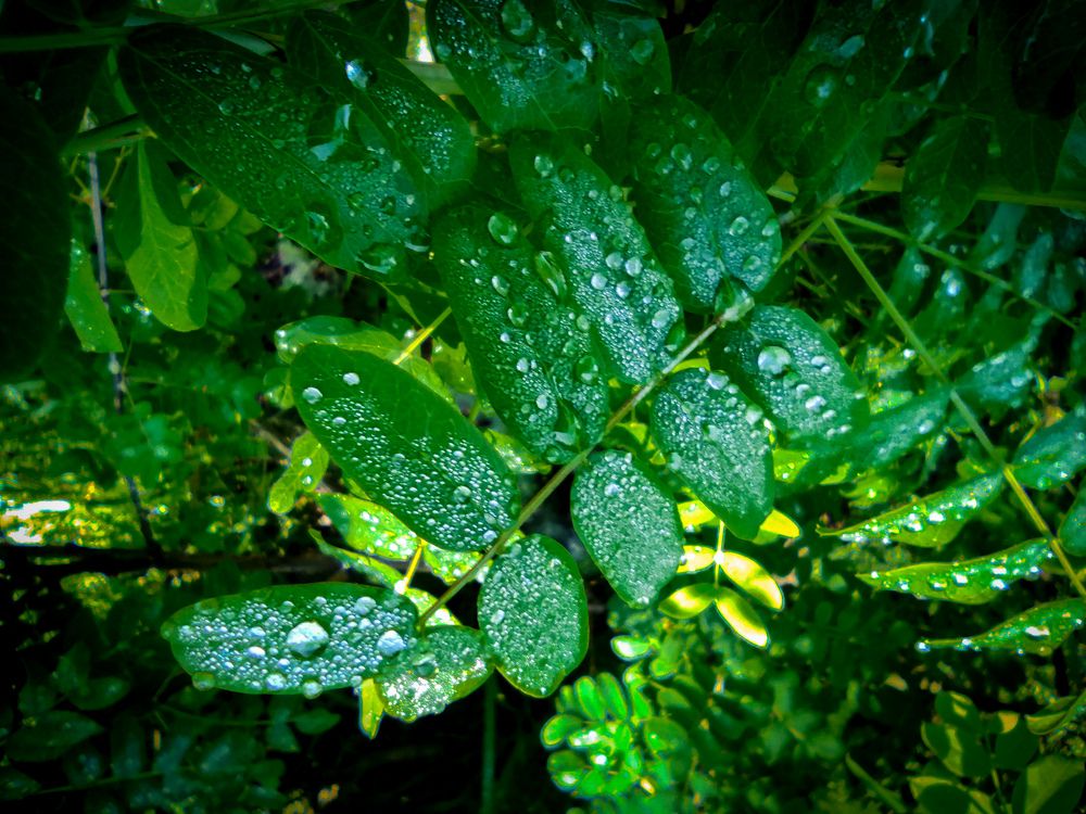 Photograph by Дмитрий Тимин