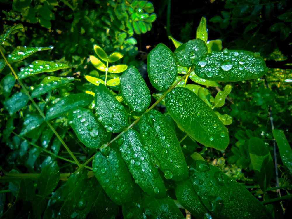 Photograph by Дмитрий Тимин